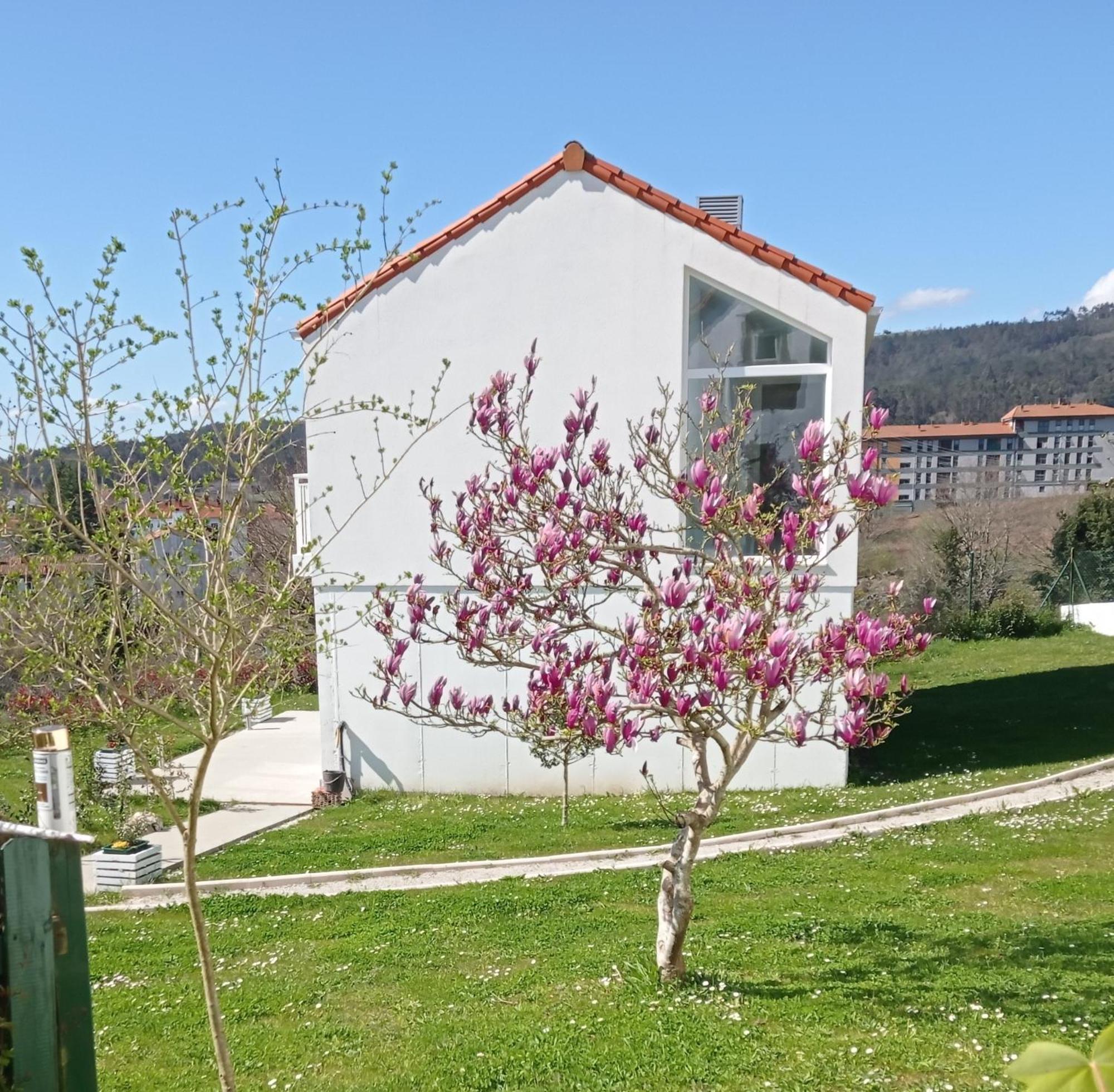 Casas Turisticas Lar Jardin - Parking Privado Santiago de Compostela Kültér fotó