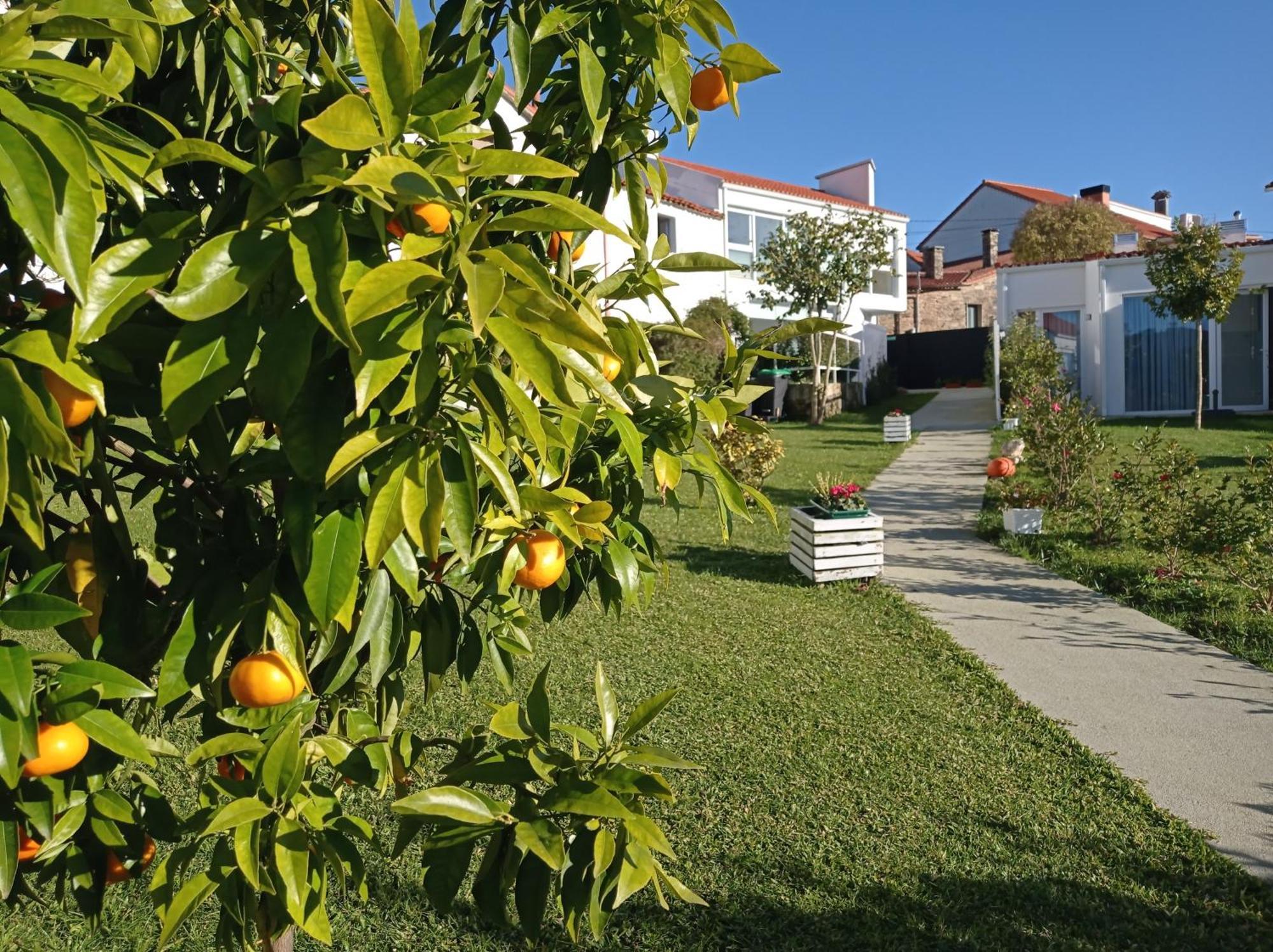 Casas Turisticas Lar Jardin - Parking Privado Santiago de Compostela Kültér fotó