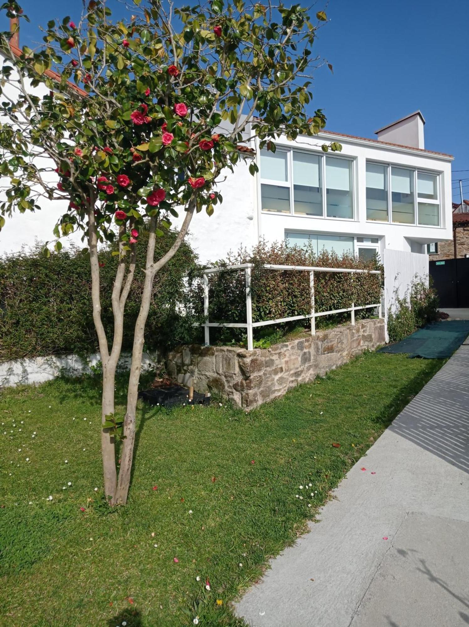 Casas Turisticas Lar Jardin - Parking Privado Santiago de Compostela Kültér fotó